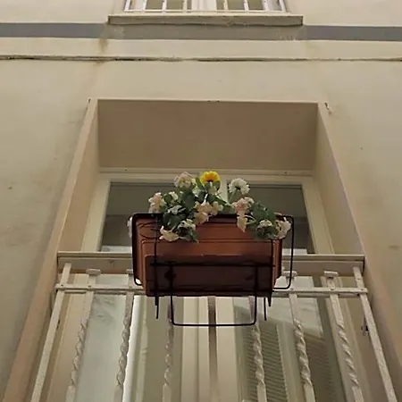 Aura Μπάρι